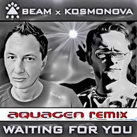 Waiting for You (Aquagen Remix)