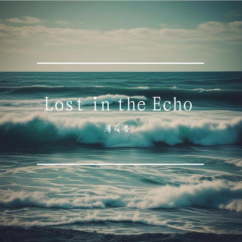 Lost in the Echo封面