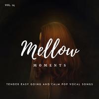 Mellow Moments - Tender Easy Going And Calm Pop Vocal Songs, Vol. 14