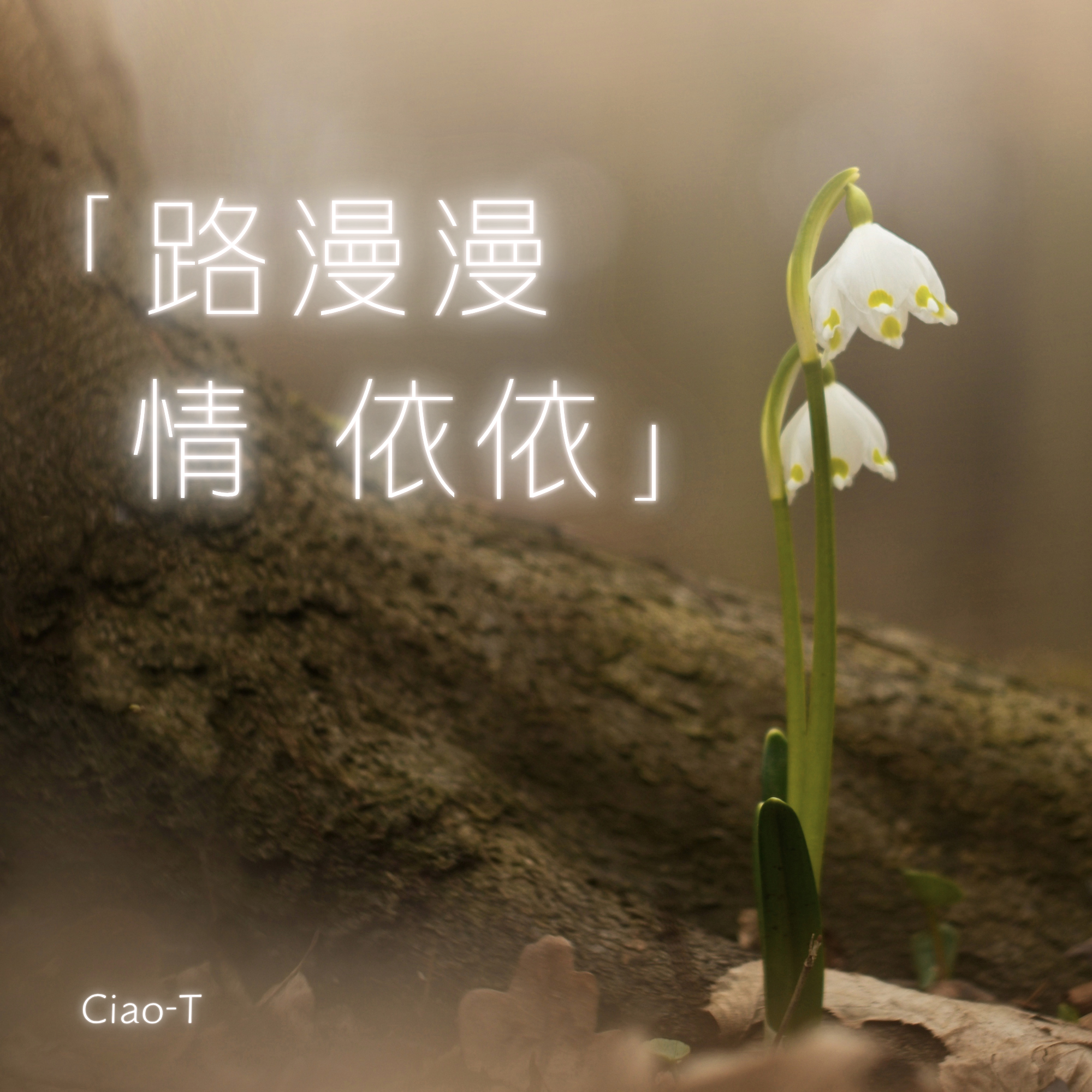 路漫漫 情依依（深情版） - Ciao-T封面