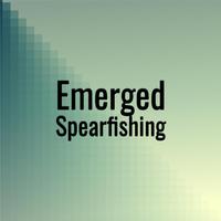 Emerged Spearfishing