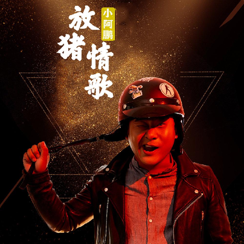 放猪情歌_小阿鹏_放猪情歌 | 在线播放_放猪情歌歌词_放猪情歌下载 | 网易云音乐