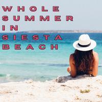 Whole Summer in Siesta Beach