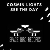 Cosmin Lights