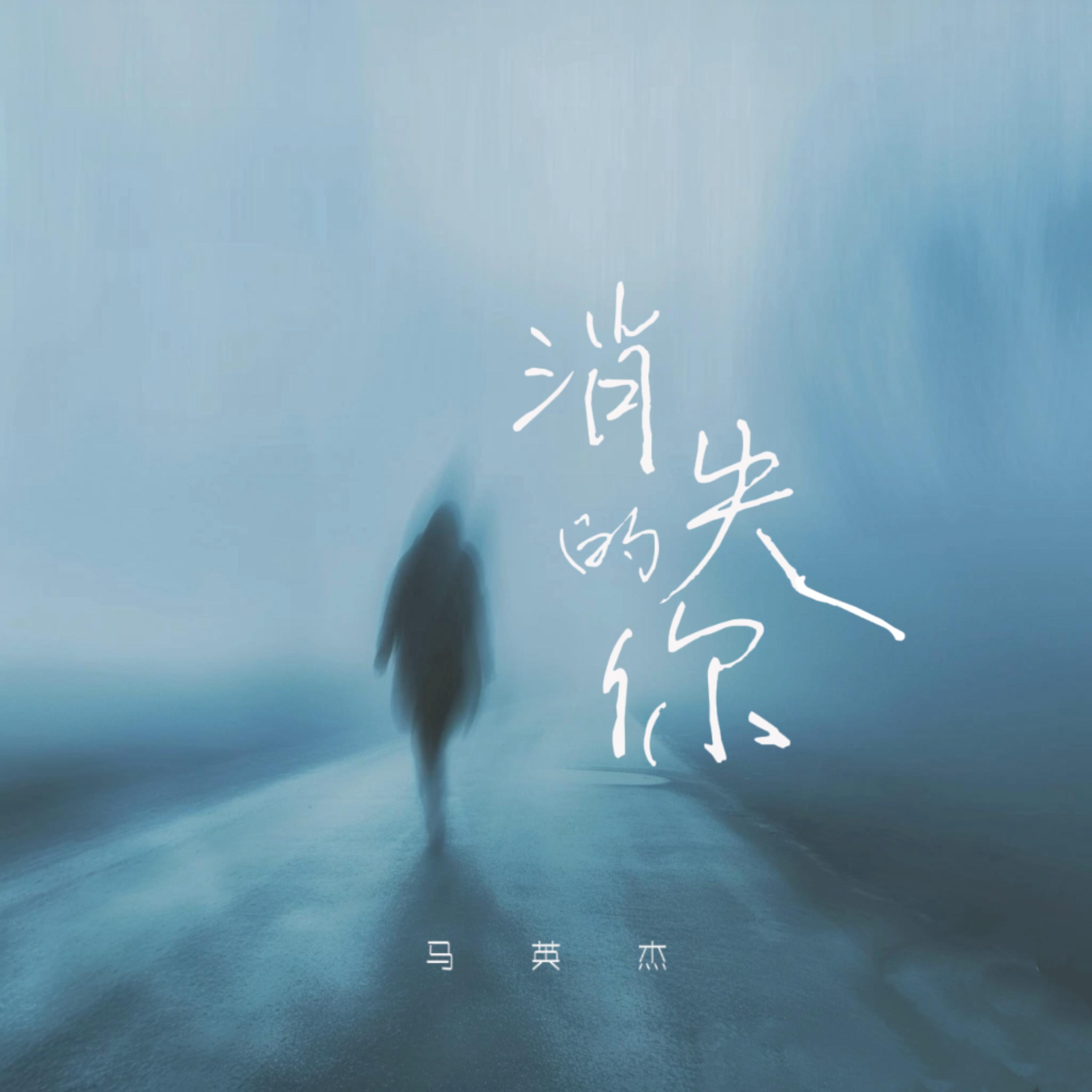 消失的你封面