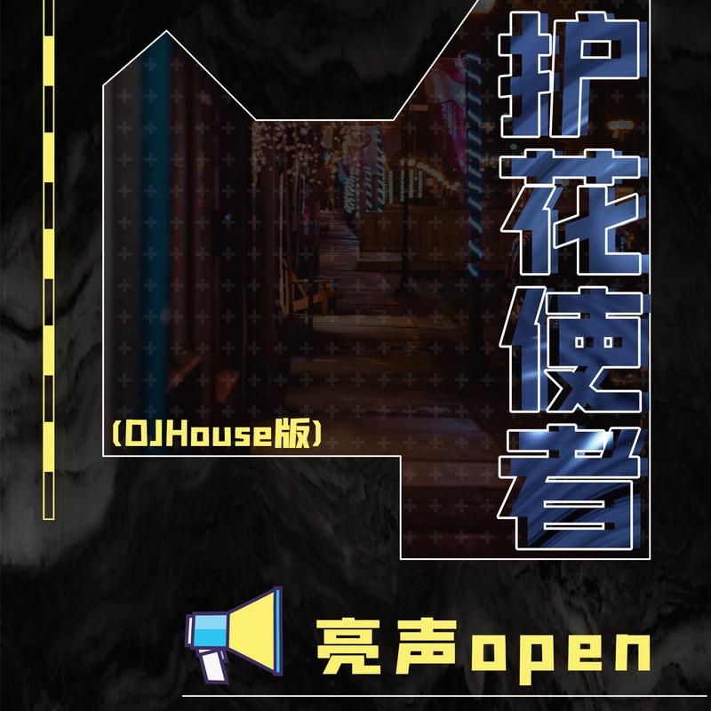 护花使者 (DJ House版伴奏)封面