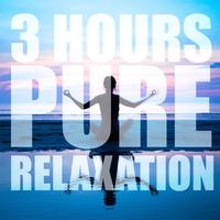 3 Hours of Pure Relaxation