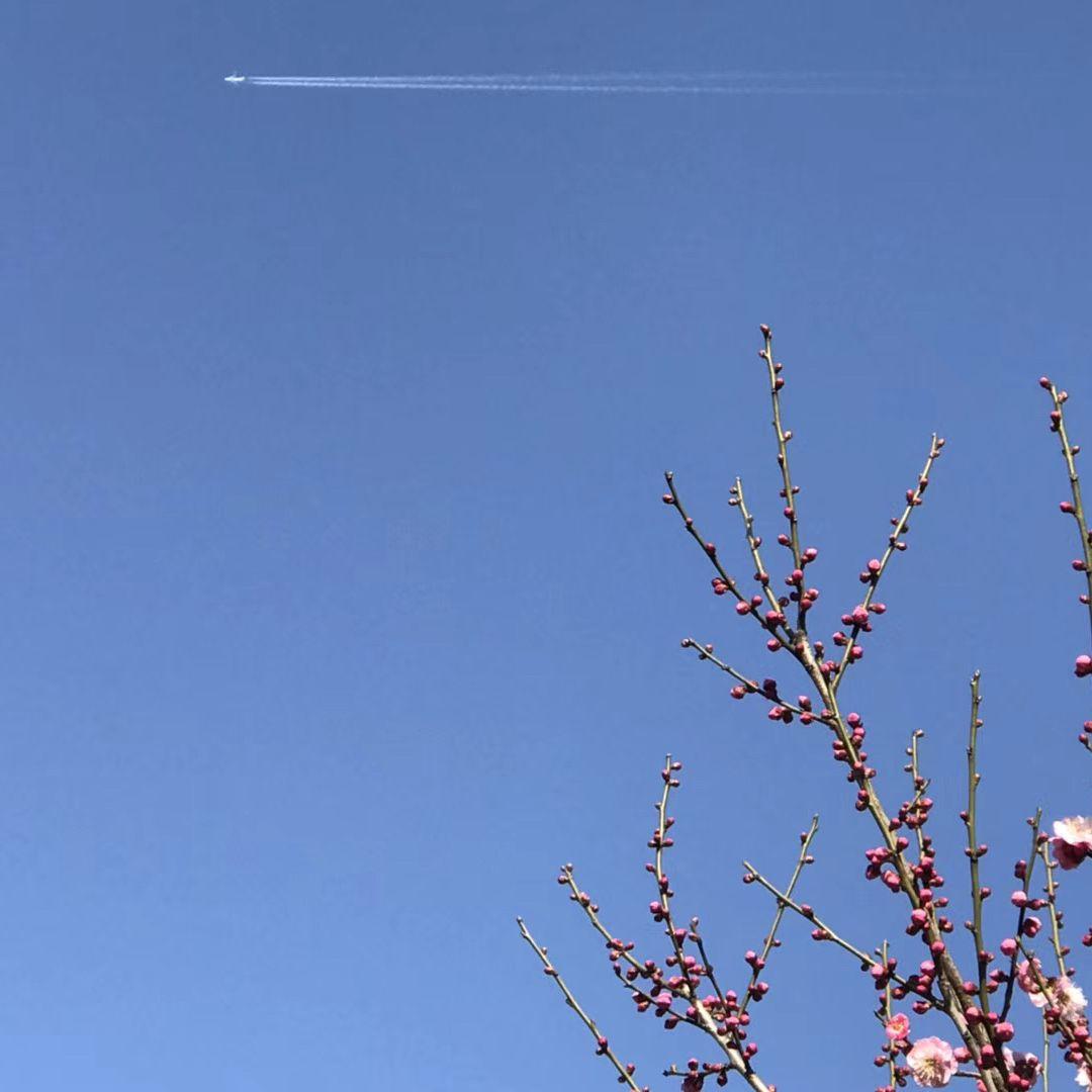 摇啊摇，摇到外婆桥封面