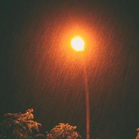A Rainy Night