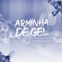 ARMINHA DE GEL