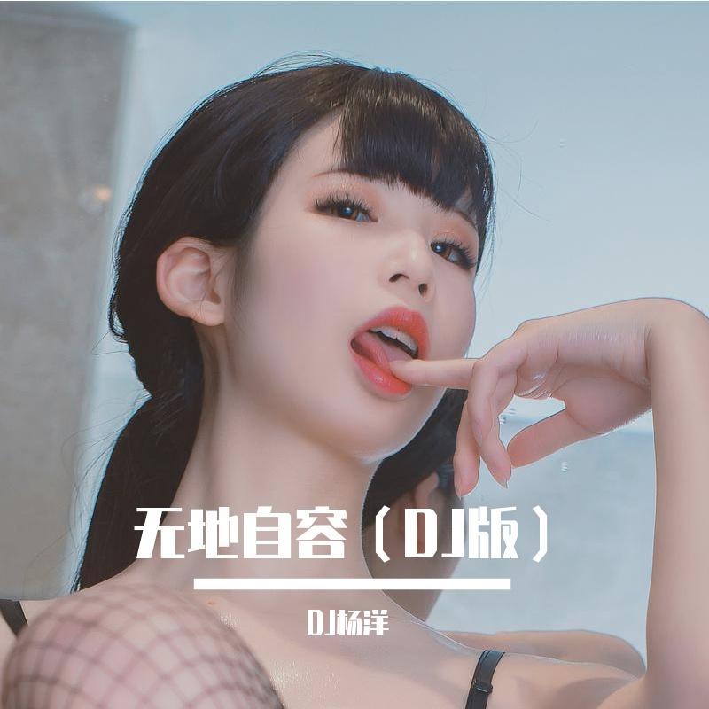 无地自容（DJ版）封面