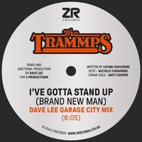 I've Gotta Stand Up (Brand New Man) (Dave Lee Garage City Mix)