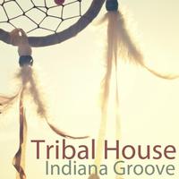 Indiana Groove