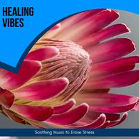 Healing Vibes - Soothing Music To Erase Stress