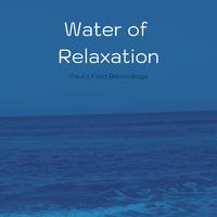 Water of Relaxation