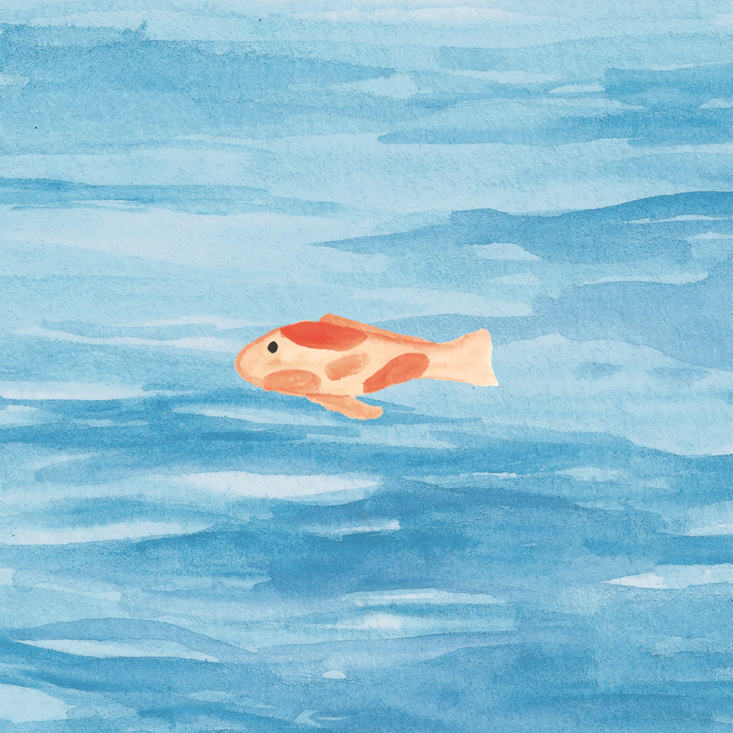 很遗憾我们不能再见面了