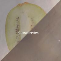 Gooseberries