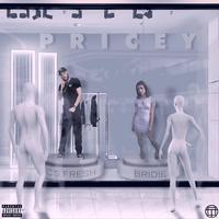 Pricey (feat. Bridie)