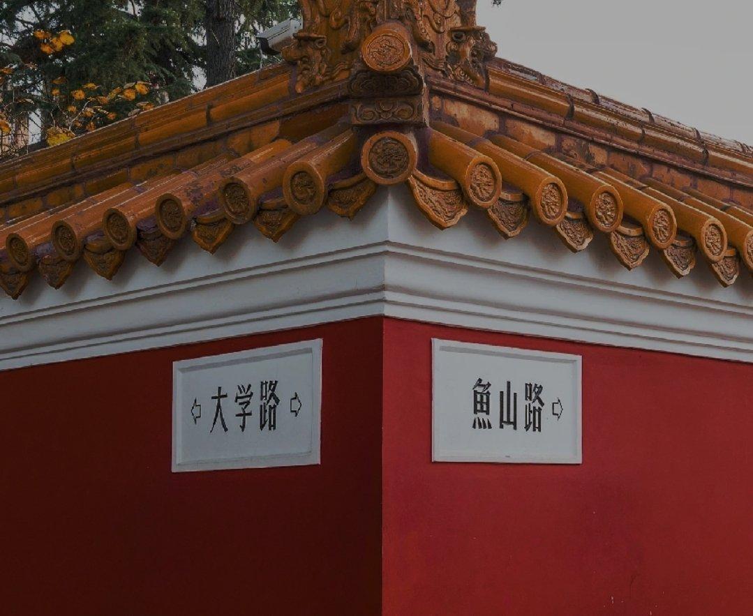 卜卜卜