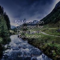 50 Meditation Collection for Deep Sleep Relaxation