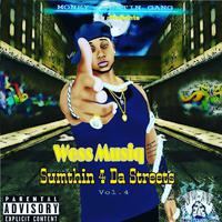 Money Countin Gang Presents: Sumthin 4 da Streets, Vol. 4