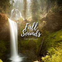 Fall Sounds for Soothing