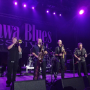 Roomful of Blues