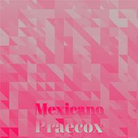 Mexicano Praecox