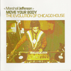 Marshall Jefferson - Move Your Body