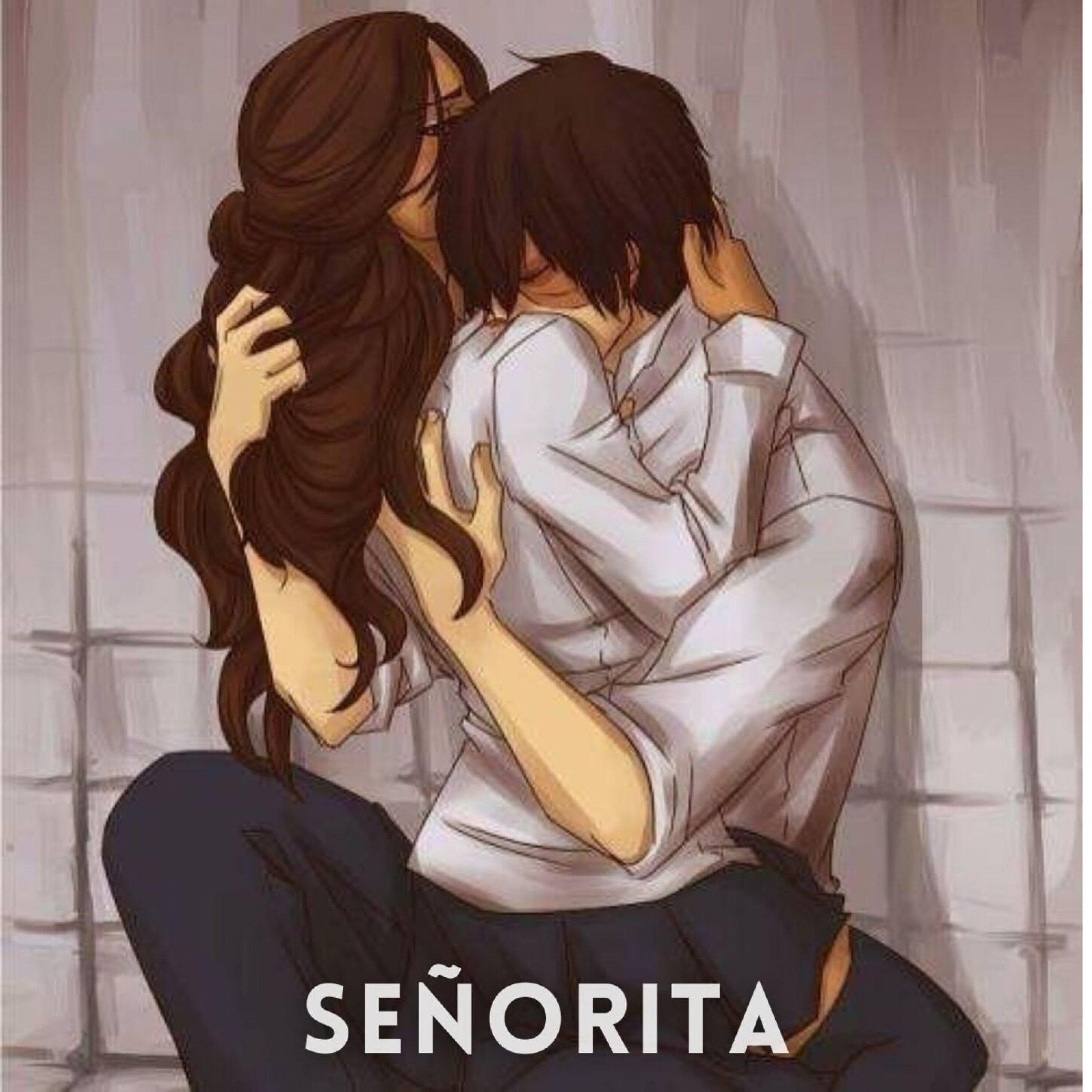Señorita (Slowed + Reverb)封面