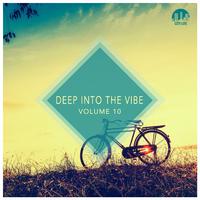 Deep Into the Vibe, Vol. 10