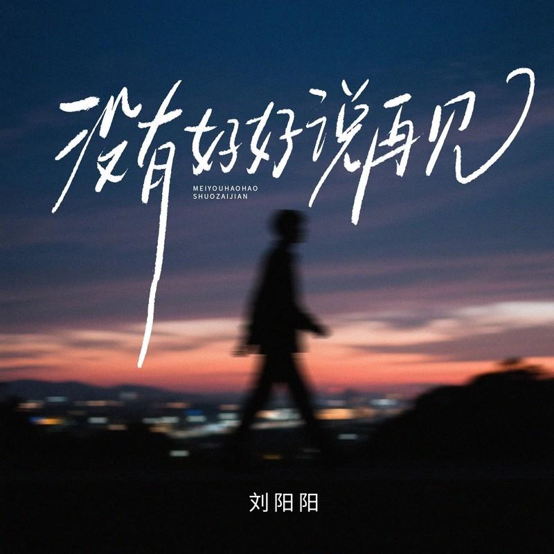 没有好好说再见 (伴奏)封面