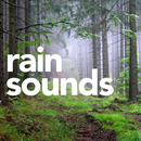 Rain Sounds