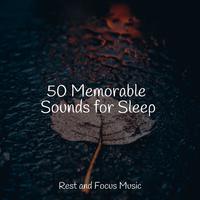 50 Memorable Sounds for Sleep