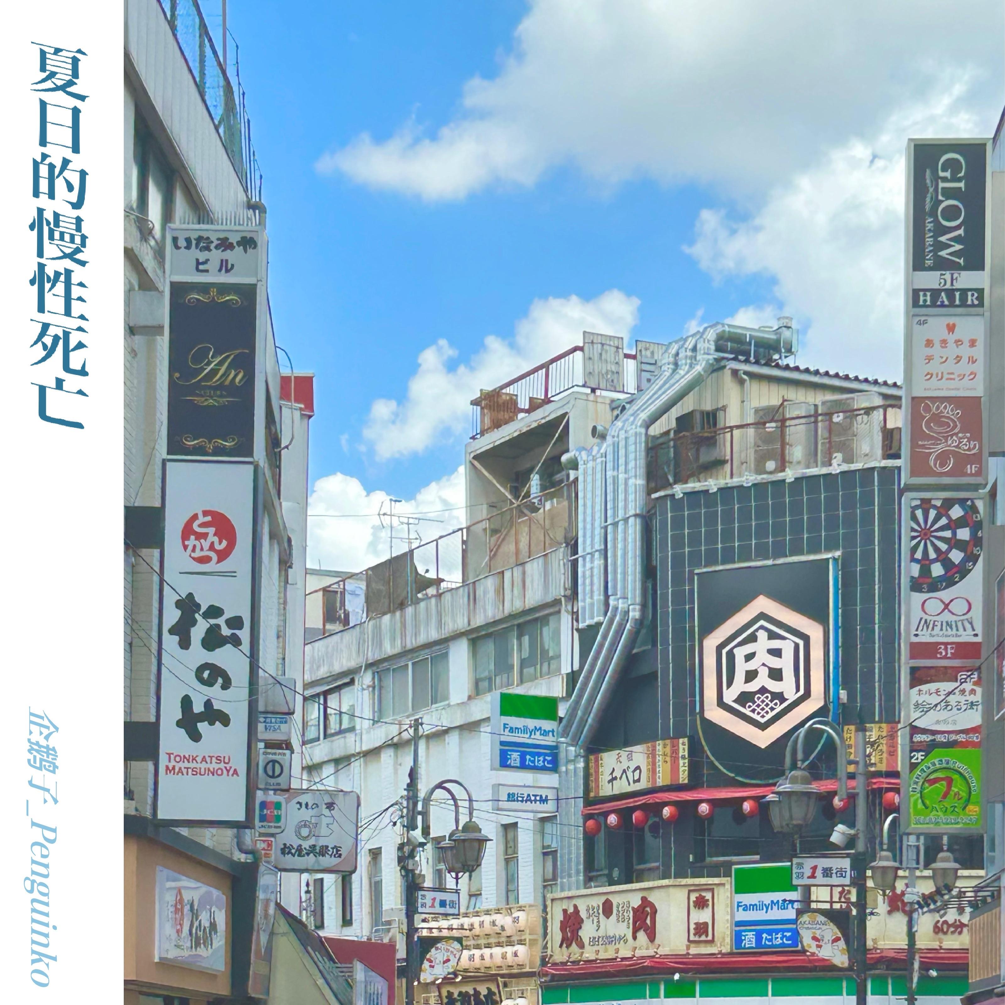 十七岁的夏天封面
