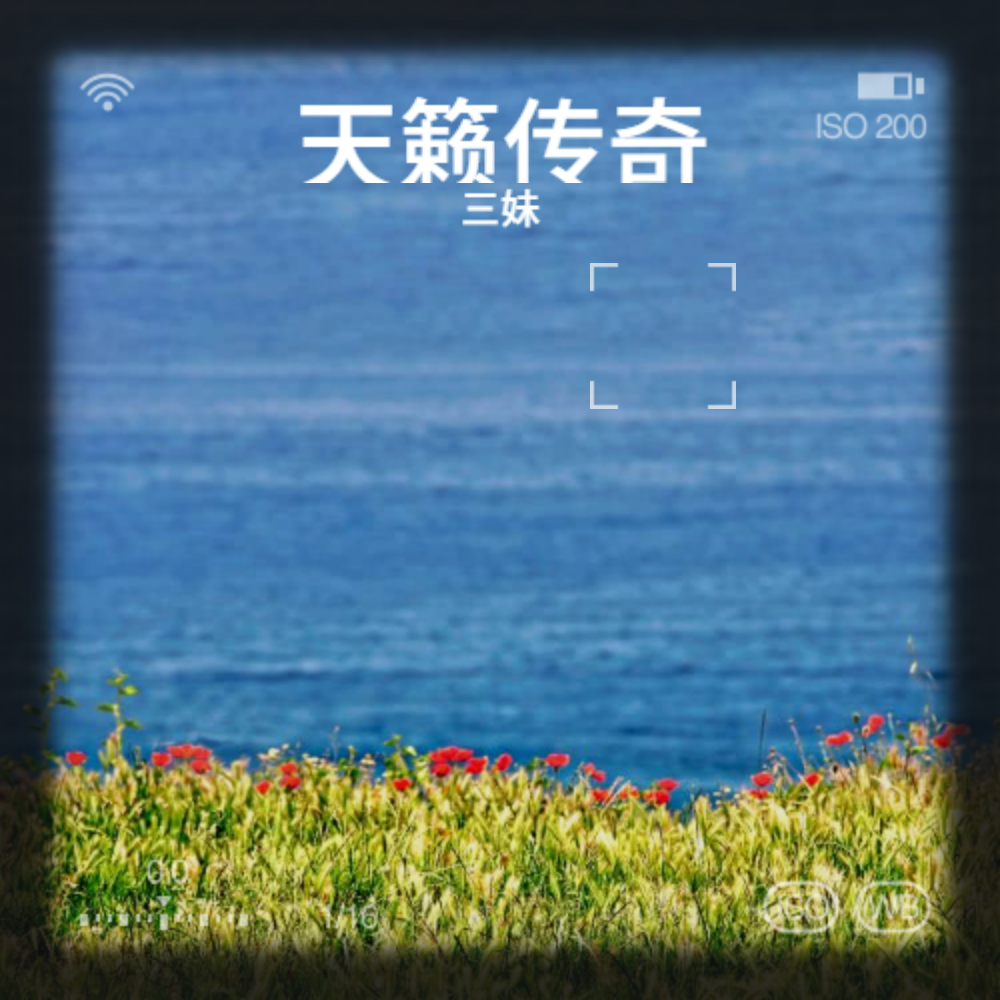 天籁传奇（甜美女声版）封面