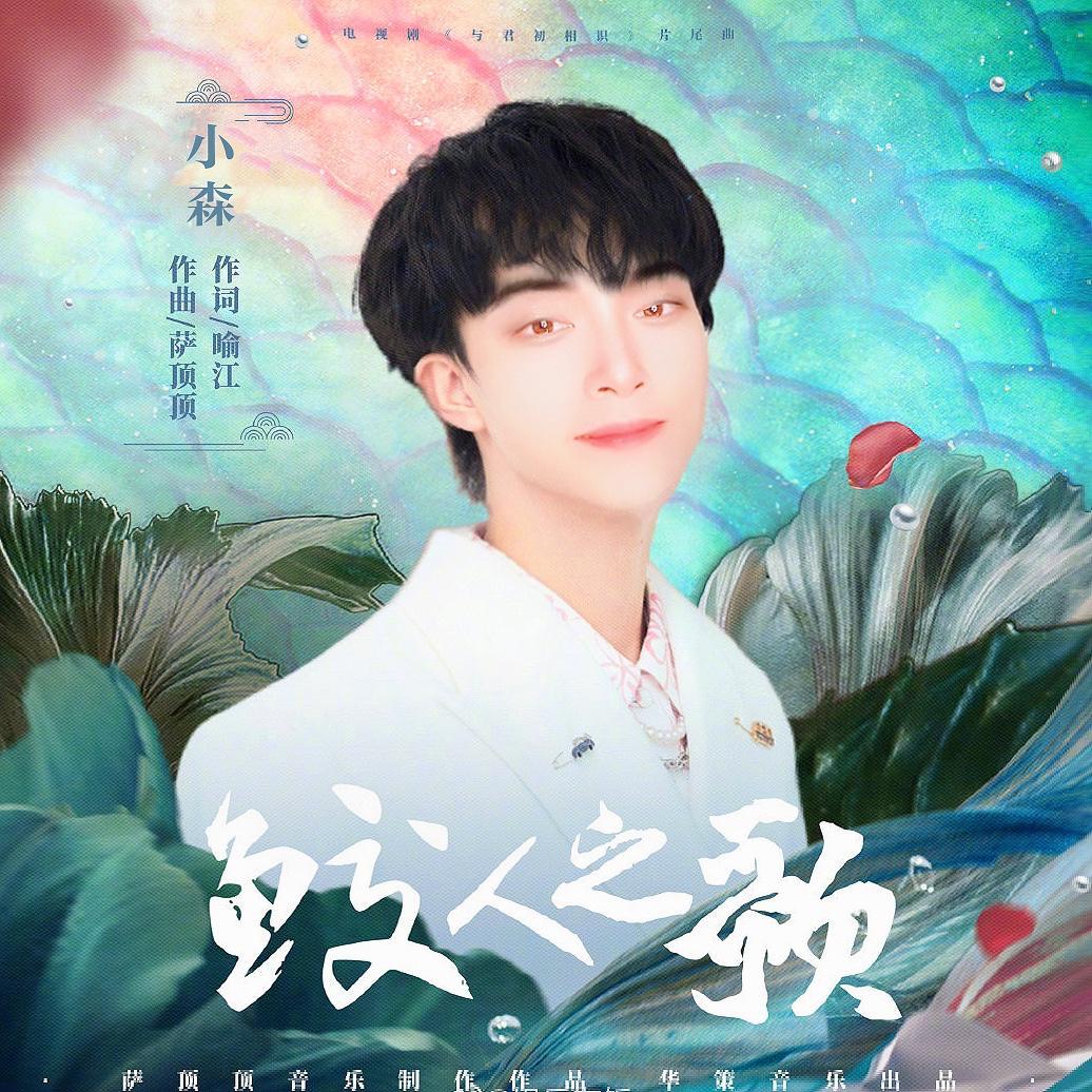 鲛人之歌封面