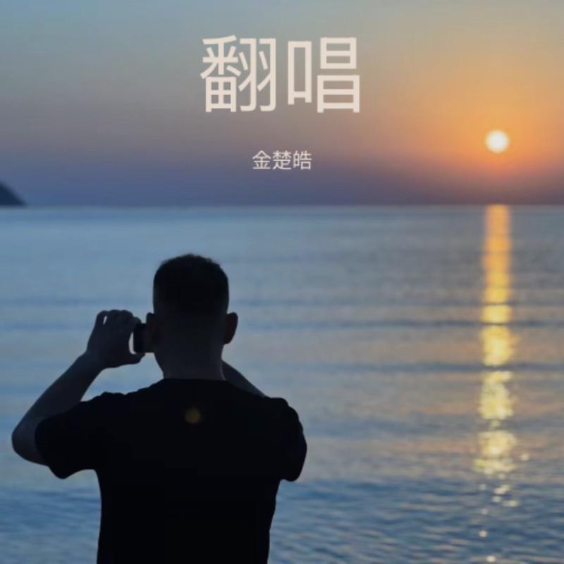 此情一直在心间 - 金楚皓、花姐封面