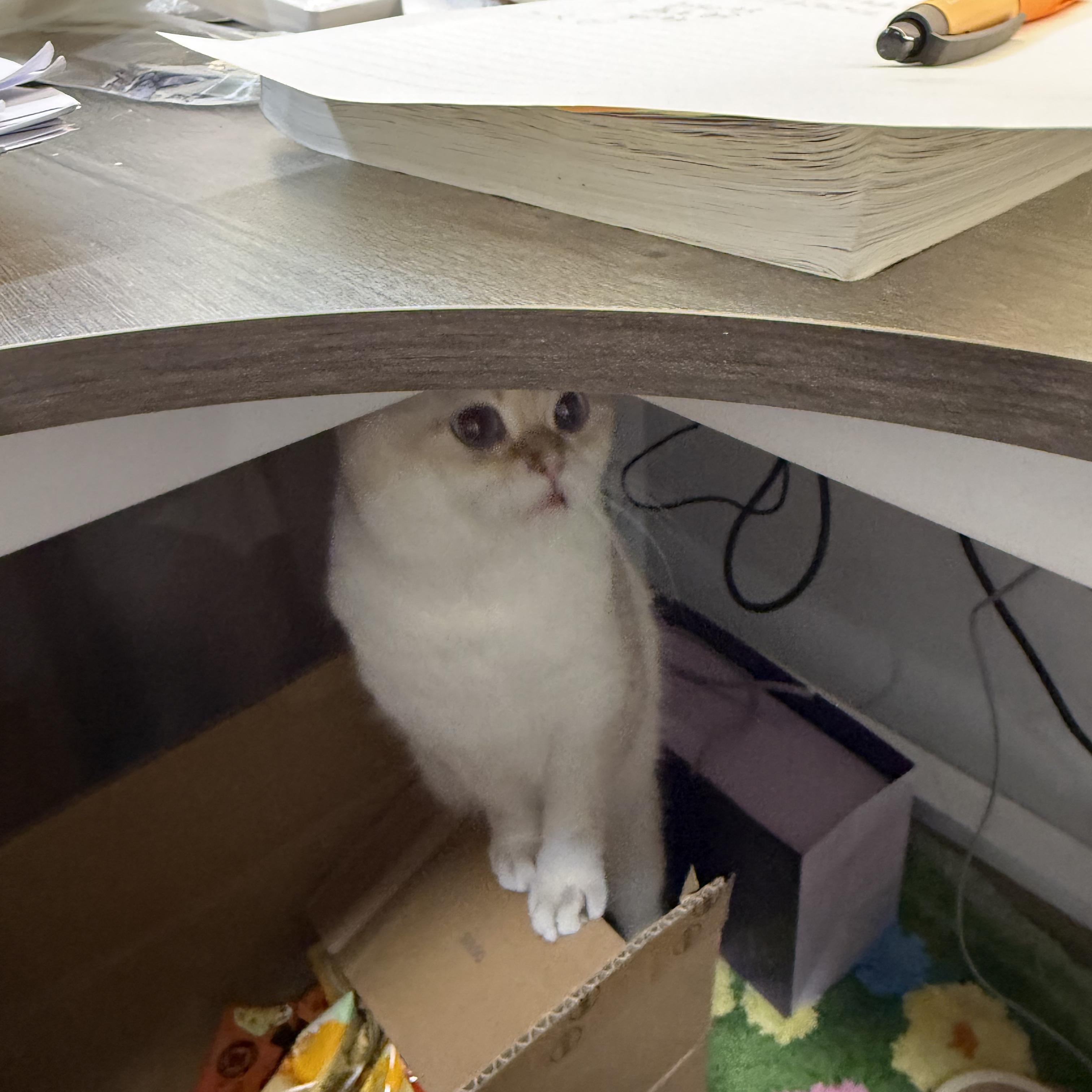 i cant handle change