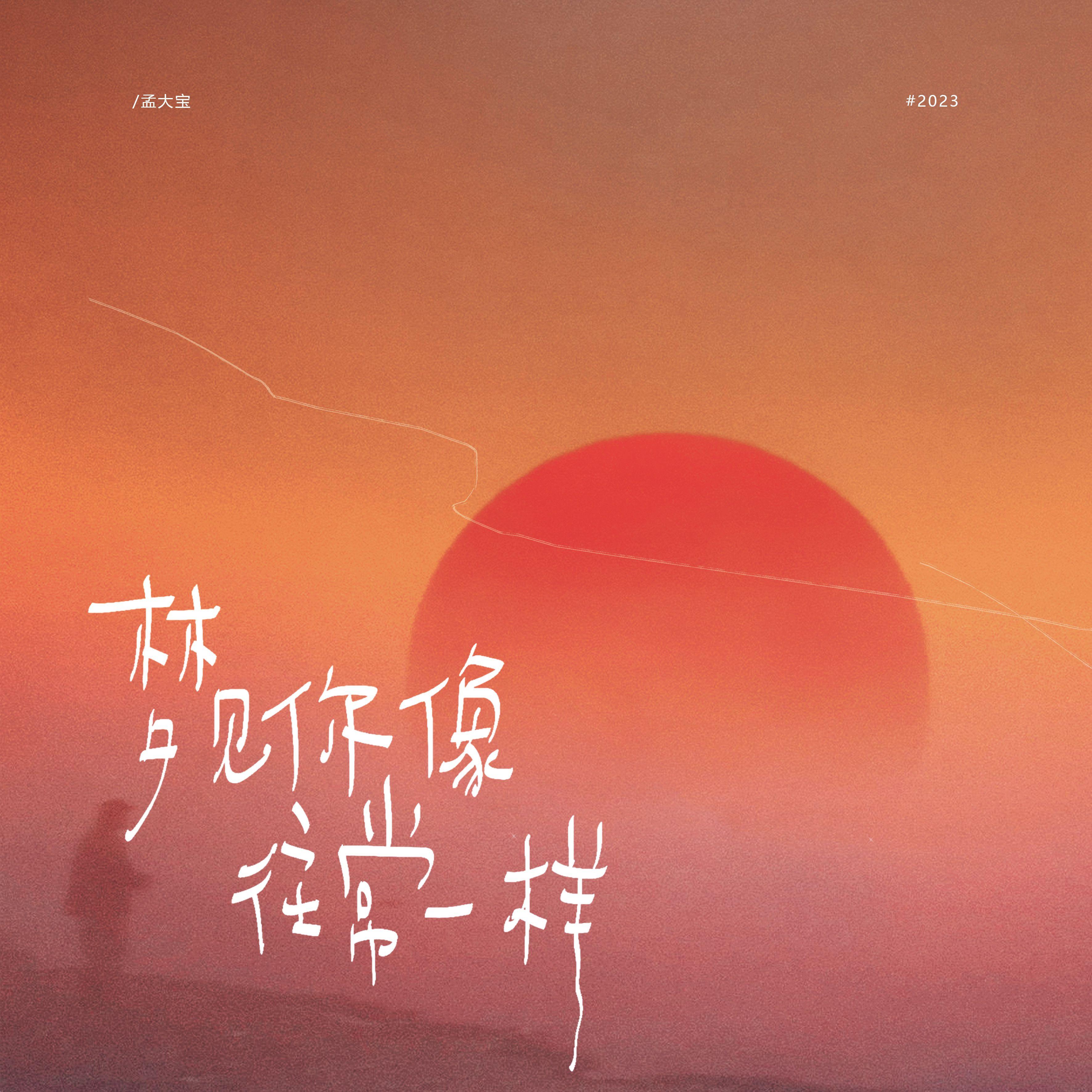 梦见你像往常一样封面