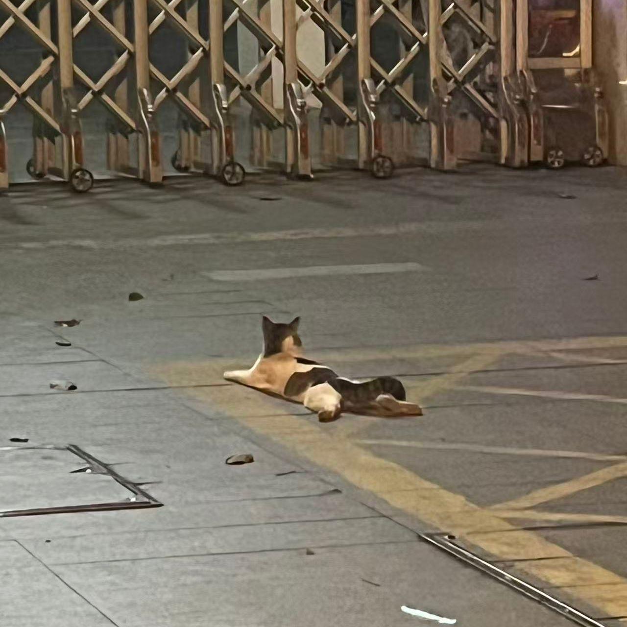 别傻了封面