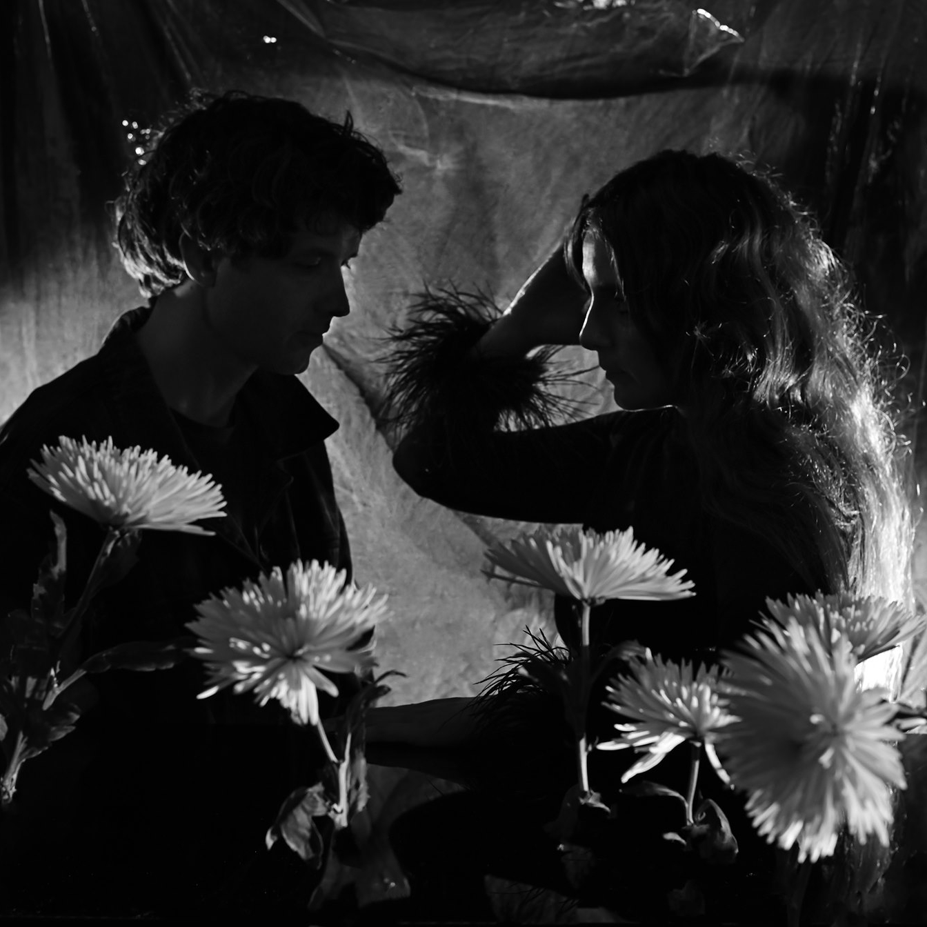 Beach House 歌手 网易云音乐