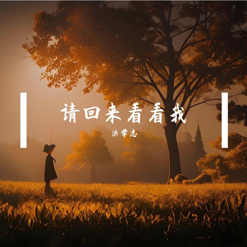 请回来看看我 伴奏 - 洪学志封面