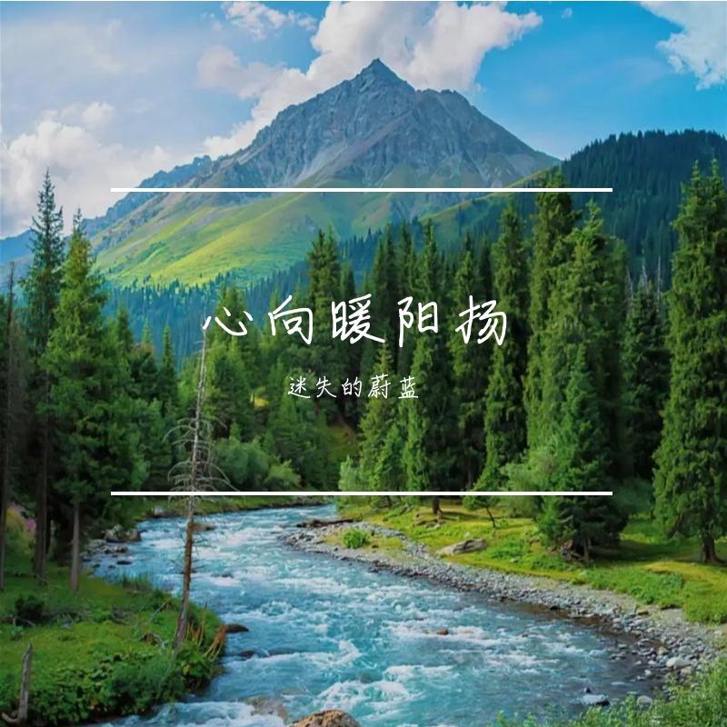 笑语伴花香封面