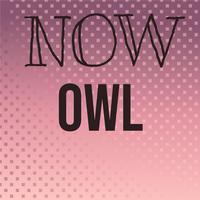 Now Owl