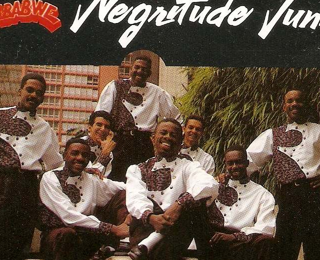 Negritude Júnior