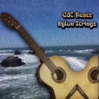 Nylon Strings