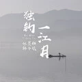 只是太爱你 (DJ版)封面