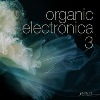 Organic Electronica, Vol. 3