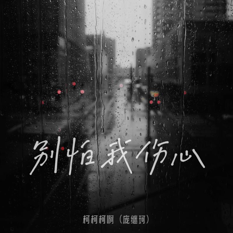 别怕我伤心 (我的爱也曾经)封面